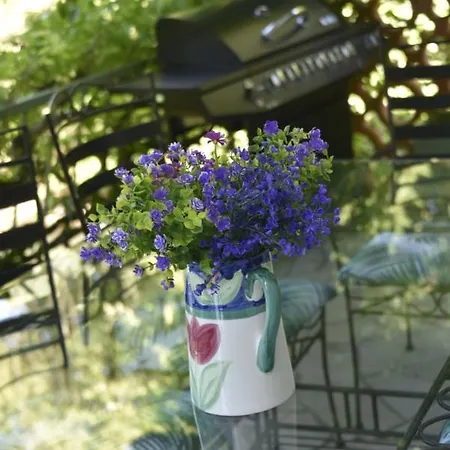 Beautiful Large Stylish Centrally Located In *