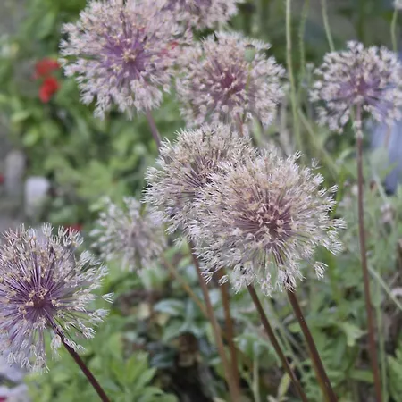 Beautiful Large Stylish Centrally Located In