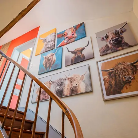 Beautiful Large Stylish Centrally Located In بيت للعطل